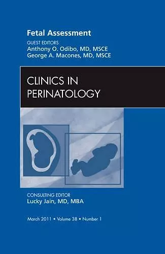 Fetal Assessment, An Issue of Clinics in Perinatology cover