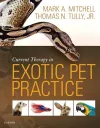 Current Therapy in Exotic Pet Practice cover