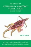 Veterinary Anatomy Flash Cards cover