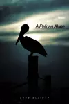 A Pelican Alone cover