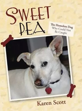 Sweet Pea cover