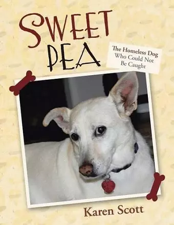 Sweet Pea cover