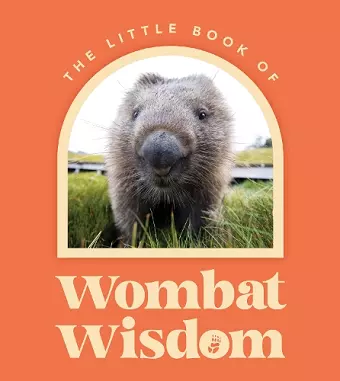 Little Book Of Wombat Wisdom cover