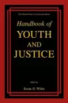 Handbook of Youth and Justice cover