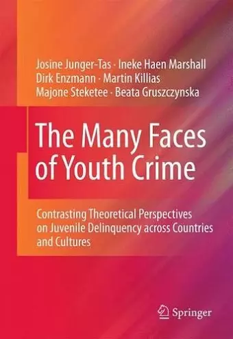 The Many Faces of Youth Crime cover