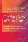 The Many Faces of Youth Crime cover