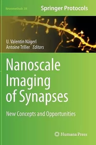 Nanoscale Imaging of Synapses cover