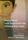 Developmental Social Neuroscience and Childhood Brain Insult cover