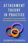 Attachment Theory in Practice cover