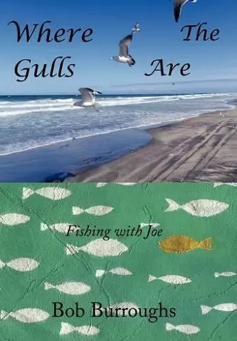 Where the Gulls Are cover