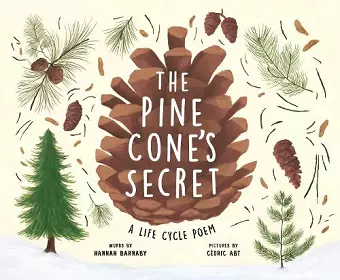 The Pine Cone's Secret cover