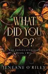 What Did You Do? cover