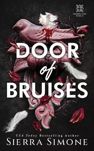 Door of Bruises cover