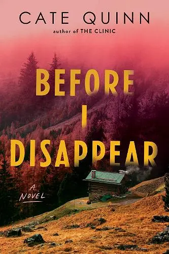 Before I Disappear cover