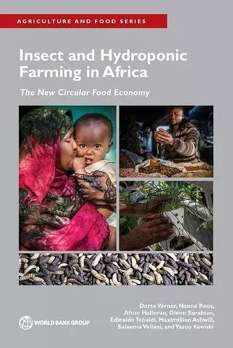 Insect and Hydroponic Farming in Africa cover