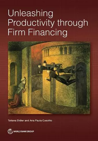 Unleashing Productivity Through Firm Financing cover