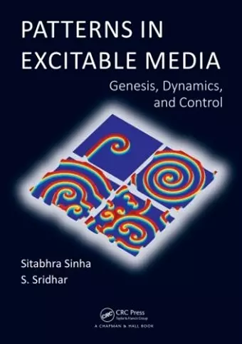 Patterns in Excitable Media cover