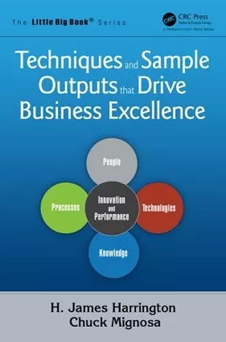 Techniques and Sample Outputs that Drive Business Excellence cover