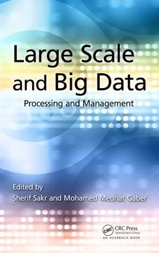 Large Scale and Big Data cover