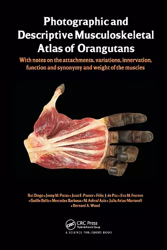 Photographic and Descriptive Musculoskeletal Atlas of Orangutans cover