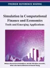 Simulation in Computational Finance and Economics cover