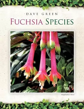 Fuchsia Species cover
