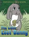 The Little Lost Bunny cover