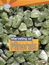 Marveling at Minerals cover