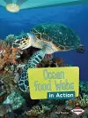 Ocean Food Webs in Action cover