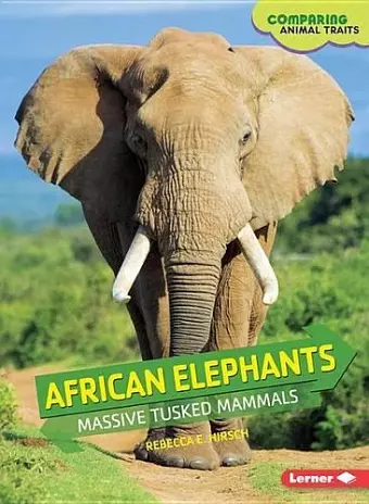 African Elephants cover