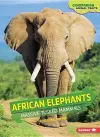 African Elephants cover