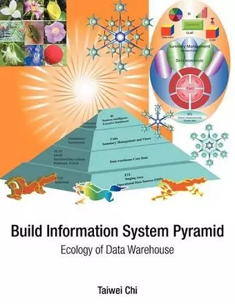 Build Information System Pyramid cover