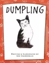 Dumpling cover