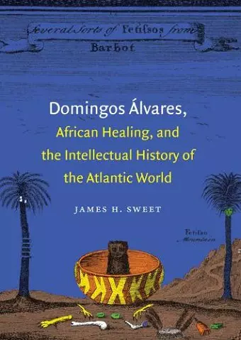 Domingos Álvares, African Healing, and the Intellectual History of the Atlantic World cover