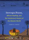 Domingos Álvares, African Healing, and the Intellectual History of the Atlantic World cover