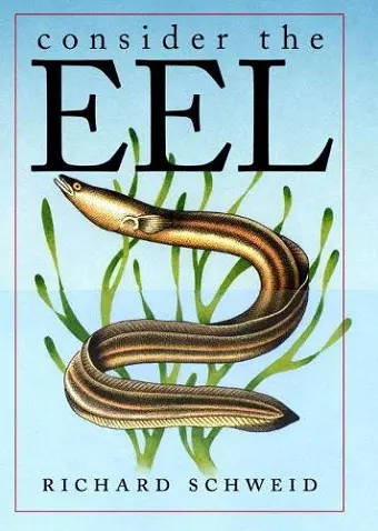 Consider the Eel cover