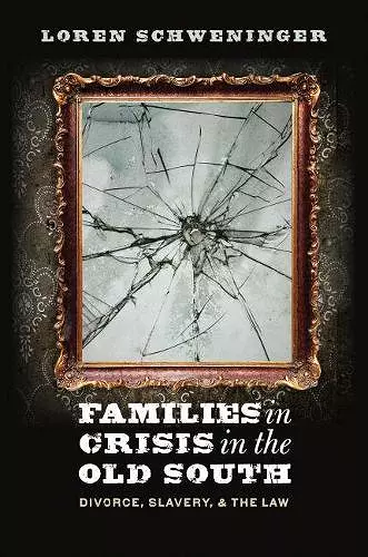 Families in Crisis in the Old South cover