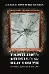 Families in Crisis in the Old South cover