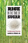 Rice in the Time of Sugar cover