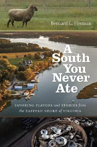 A South You Never Ate cover