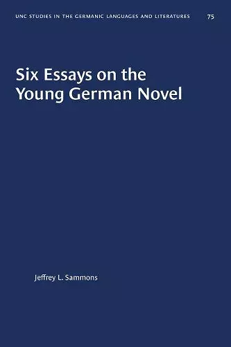 Six Essays on the Young German Novel cover