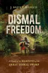 Dismal Freedom cover