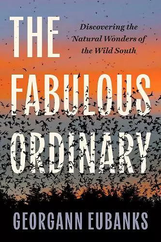 The Fabulous Ordinary cover