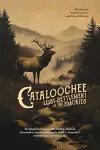 Cataloochee cover
