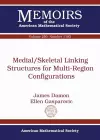 Medial/Skeletal Linking Structures for Multi-Region Configurations cover