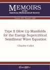 Type II Blow Up Manifolds for the Energy Supercritical Semilinear Wave Equation cover