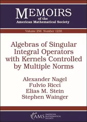Algebras of Singular Integral Operators with Kernels Controlled by Multiple Norms cover