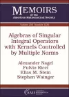 Algebras of Singular Integral Operators with Kernels Controlled by Multiple Norms cover