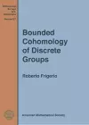 Bounded Cohomology of Discrete Groups cover