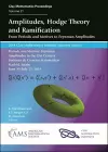 Amplitudes, Hodge Theory and Ramification cover